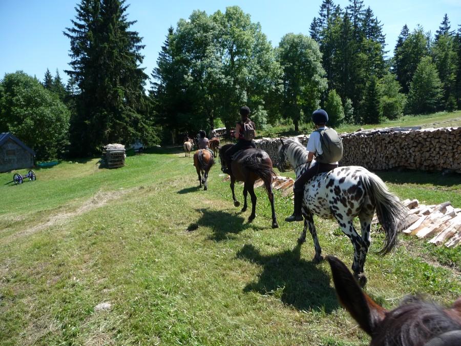 Randonne questre Jura PNR du Haut-Jura photo 3