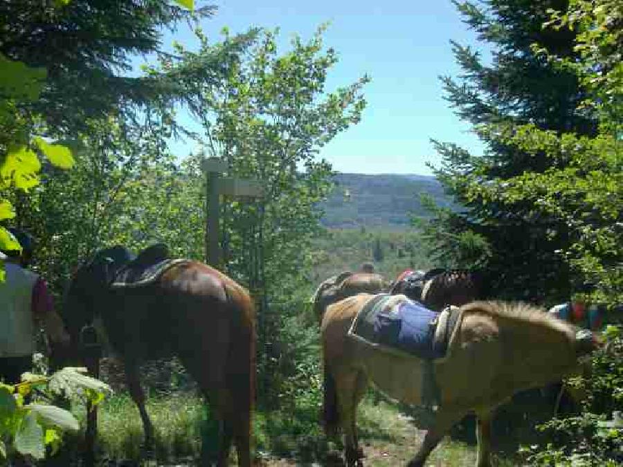 Randonne questre Jura PNR du Haut-Jura photo 3