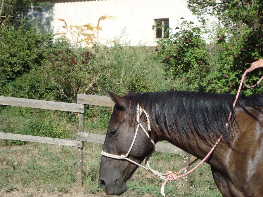 la provence annonces rencontres