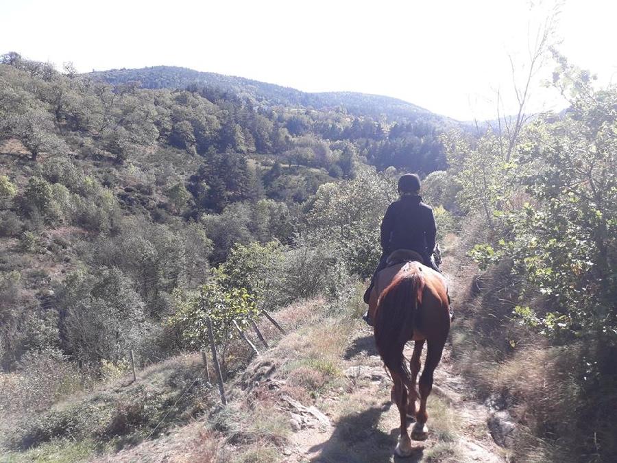 Randonne questre Ardche PNR des Monts d'Ardche