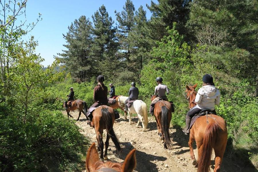 Randonne questre Ardche PNR des Monts d'Ardche photo 5