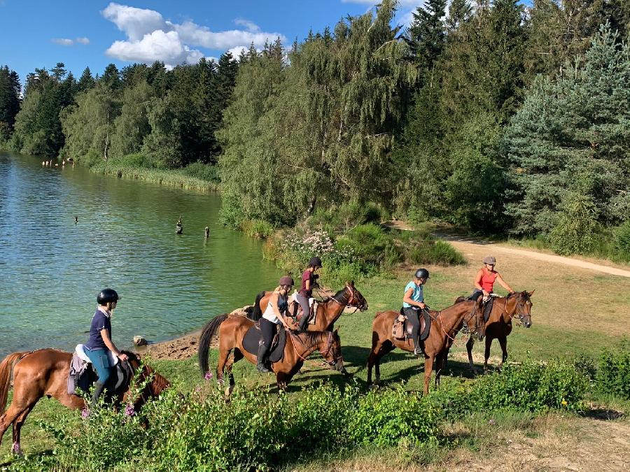 Sjour questre Ardche PNR des Monts d'Ardche