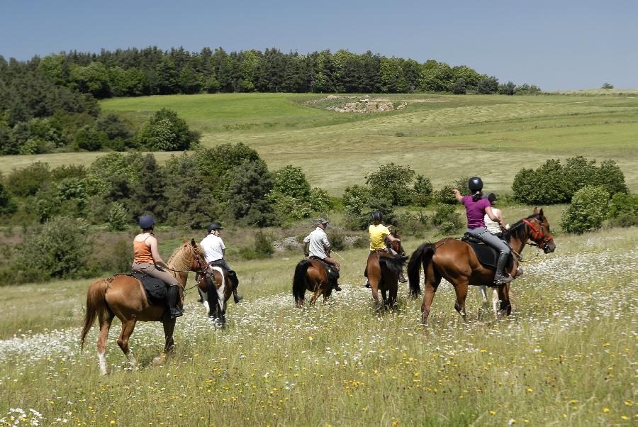 Randonne questre Ardche PNR des Monts d'Ardche photo 3