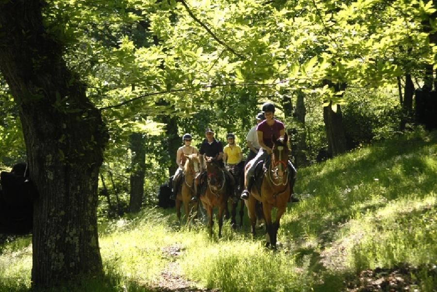 Sjour questre Ardche PNR des Monts d'Ardche