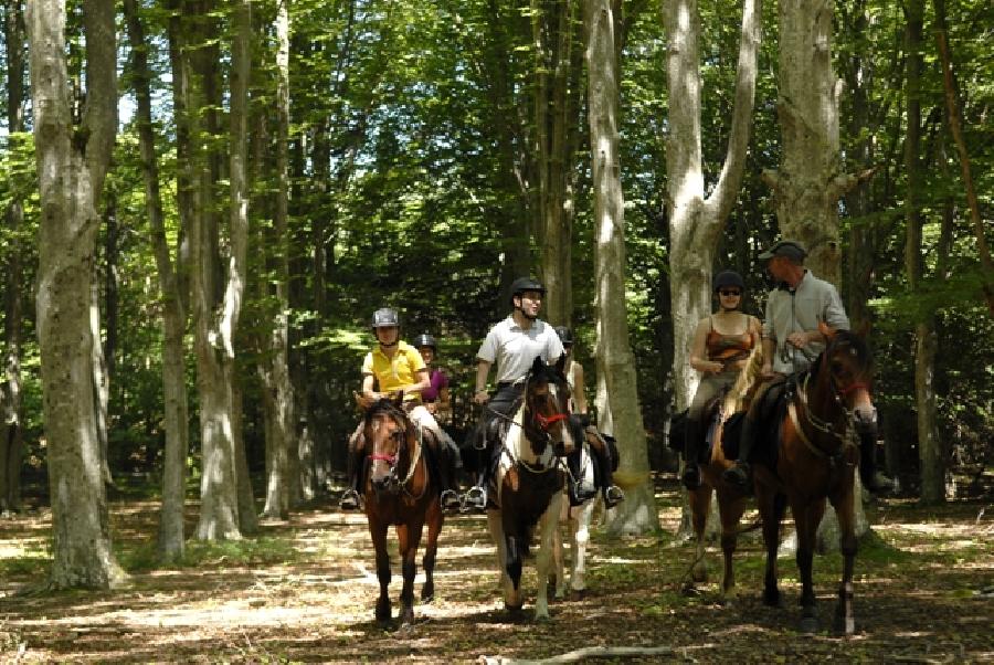 Sjour questre Ardche PNR des Monts d'Ardche photo 5