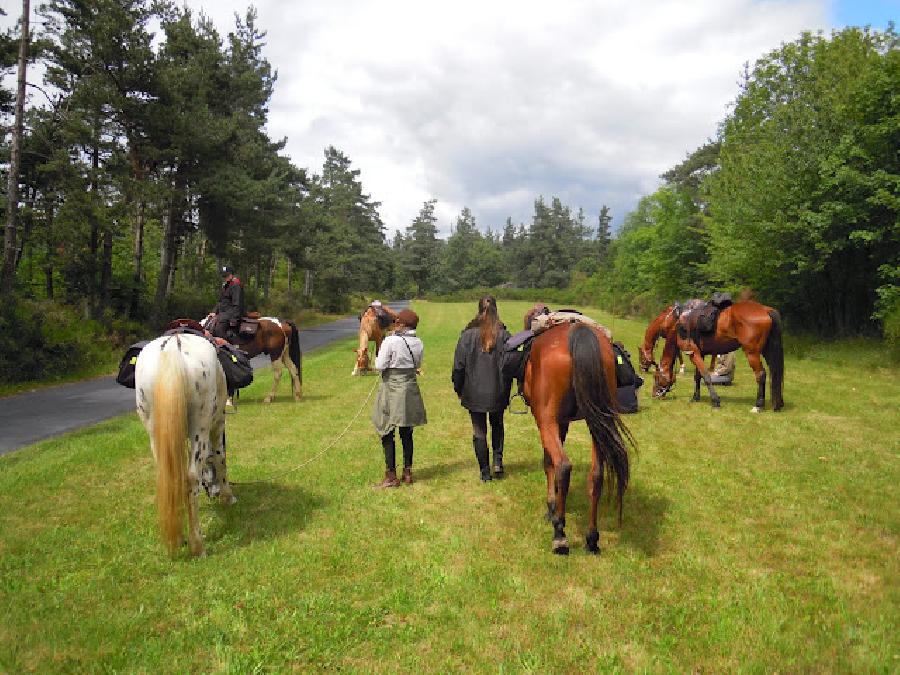 randonnee cheval 3 jours