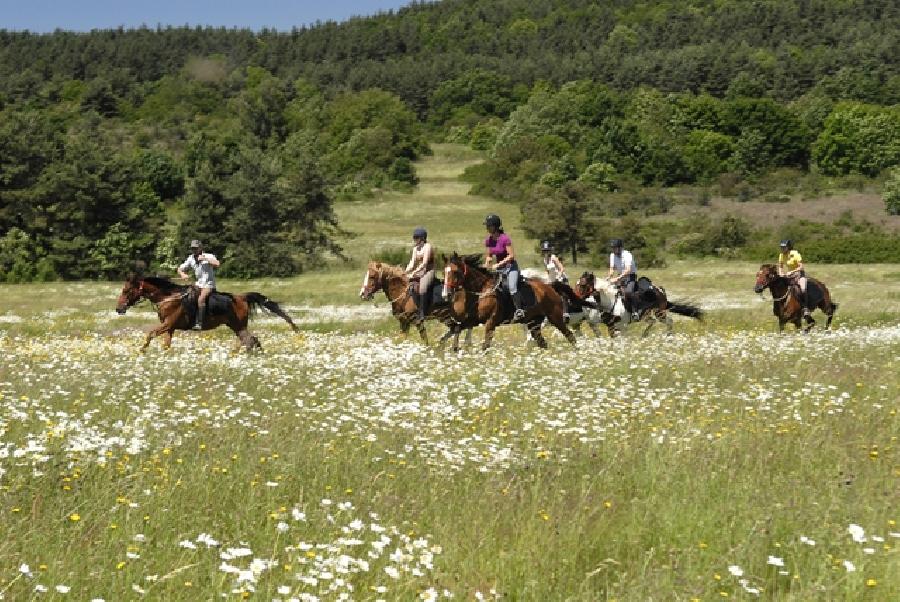 Sjour questre Ardche PNR des Monts d'Ardche photo 6