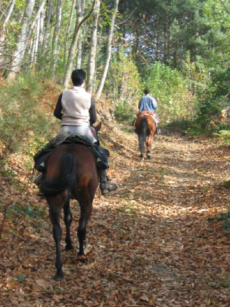 randonnee cheval montagne noire