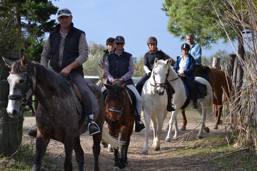 randonnee cheval drome provencale
