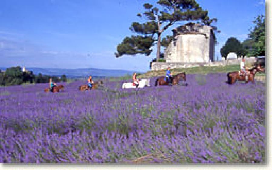 randonnee cheval drome