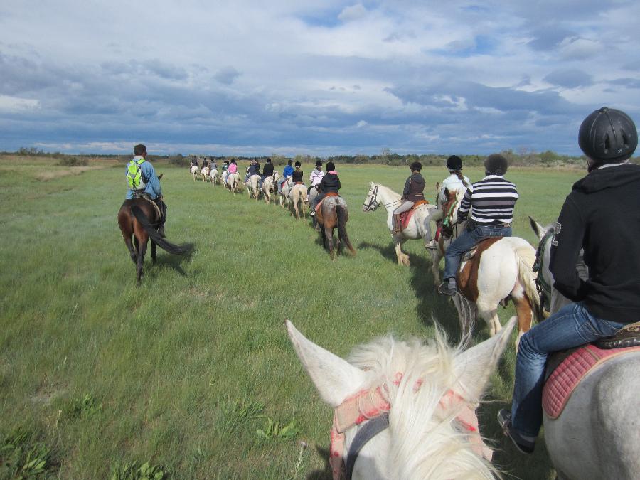 balade cheval 64