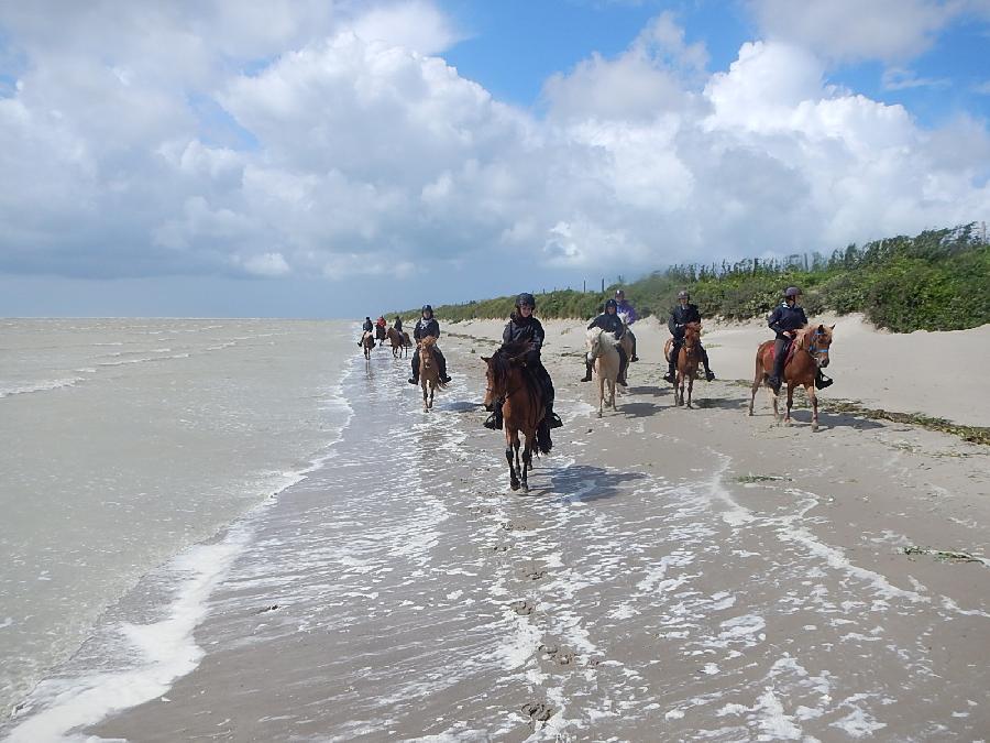 randonnee cheval baie de somme