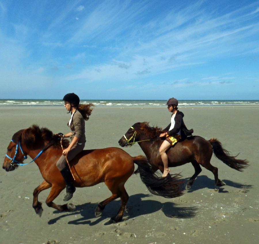 randonnee cheval baie de somme