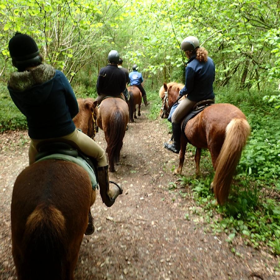 randonnee equestre 41