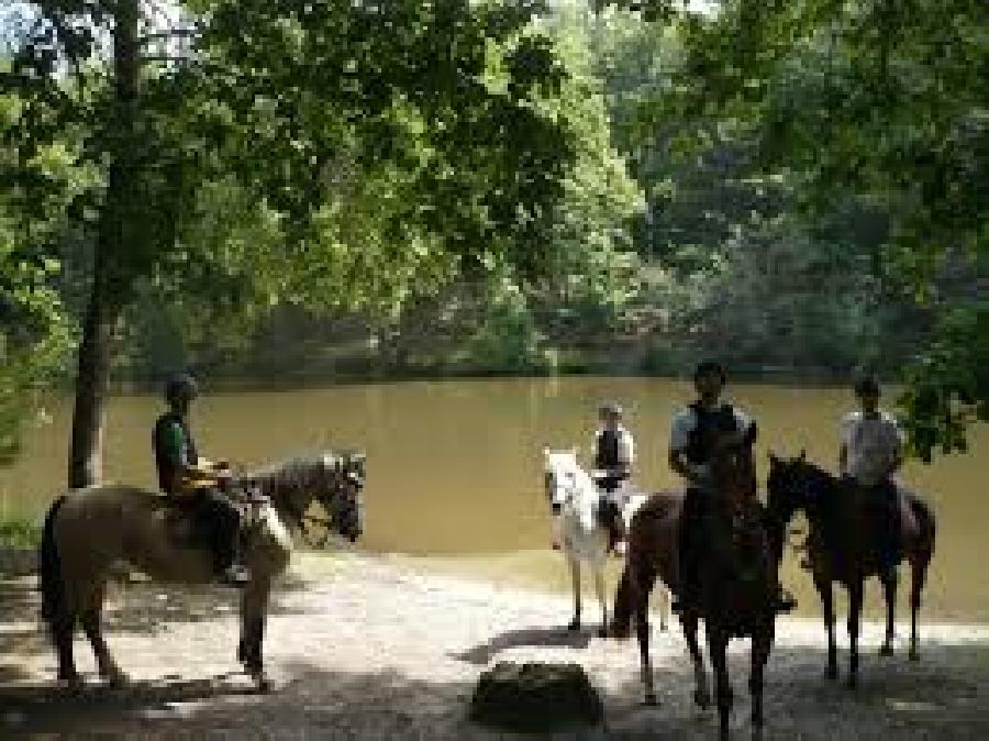 randonnee cheval rambouillet