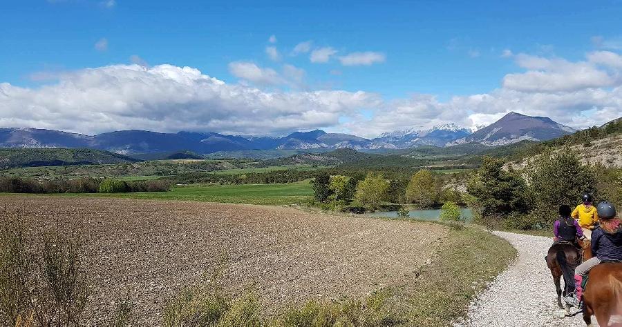 Randonne questre Hautes-Alpes Provence