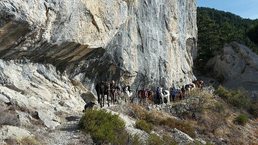 Randonne questre Hautes-Alpes Provence photo 3