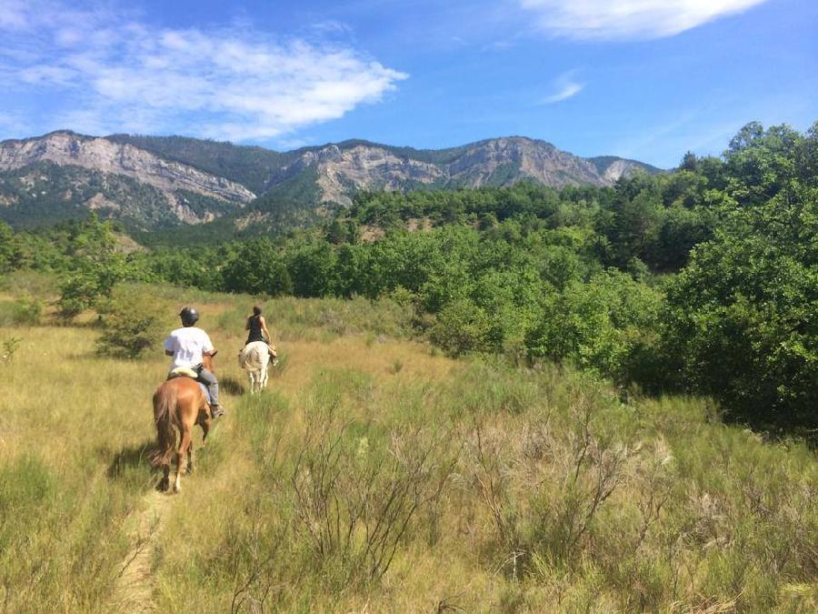 Randonne questre Hautes-Alpes Provence