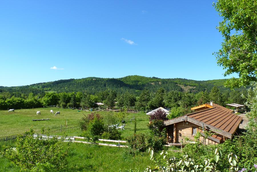 Sjour questre Hautes-Alpes Provence photo 4