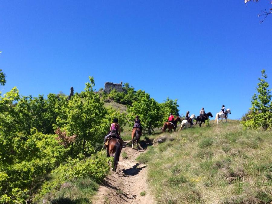 Sjour questre Hautes-Alpes Provence