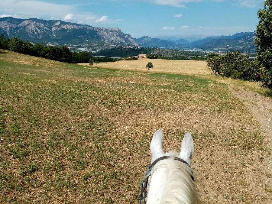 Balade  cheval Hautes-Alpes Pays du Buch photo 3