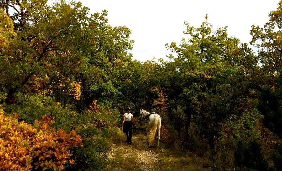 Balade  cheval Hautes-Alpes Pays du Buch photo 4