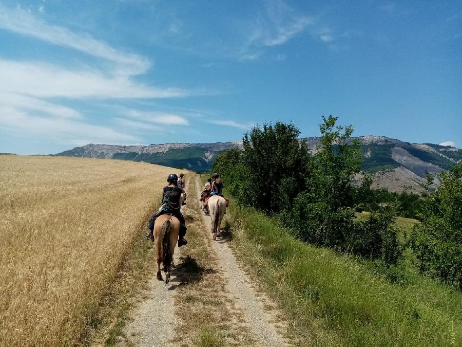 Randonne questre Hautes-Alpes Pays du Buch photo 5