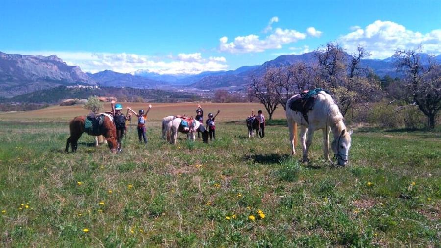 Randonne questre Hautes-Alpes Provence