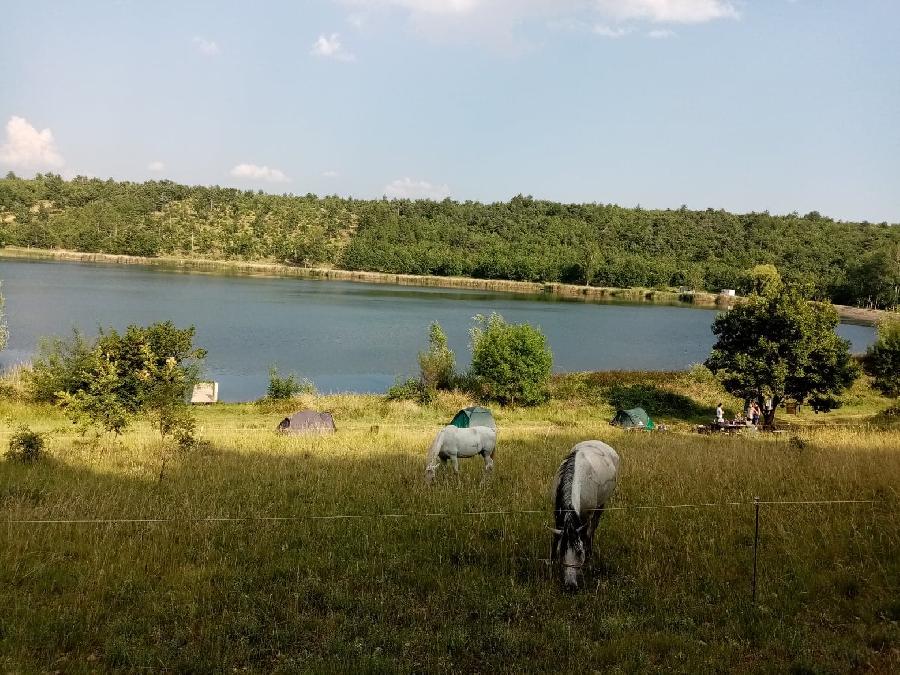 Stage quitation Hautes-Alpes Provence photo 2