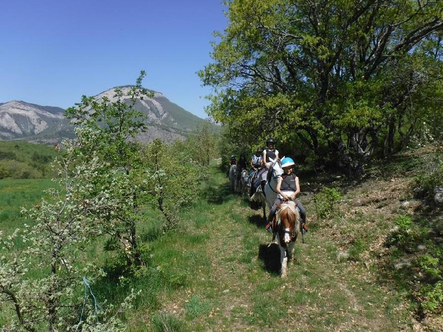 Stage quitation Hautes-Alpes Provence photo 6