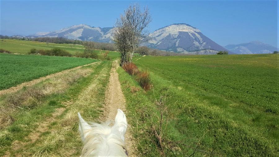 Randonne questre Hautes-Alpes Pays du Buch photo 6