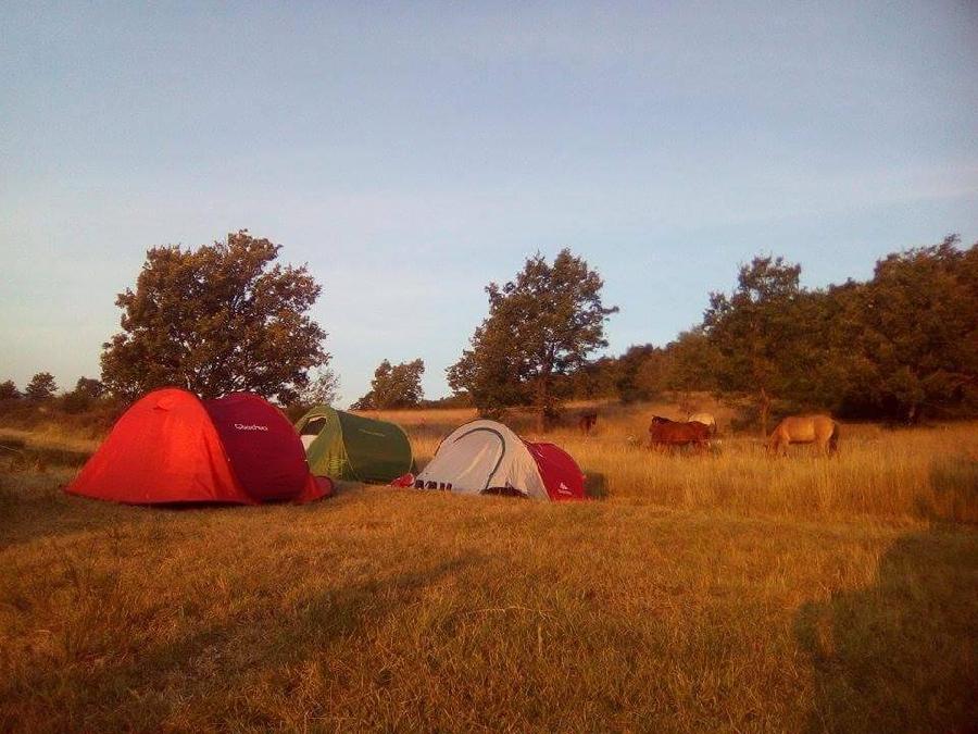 rando Randonne questre Hautes-Alpes