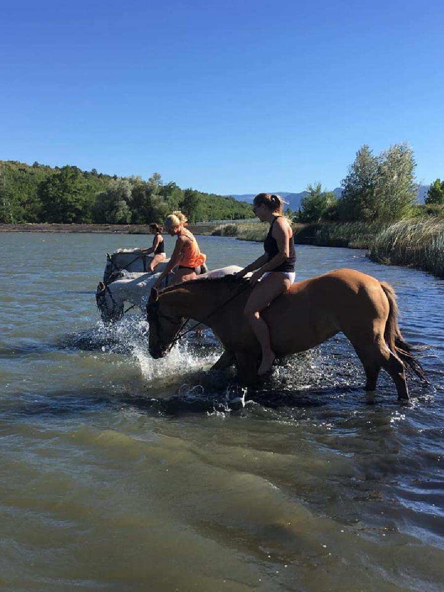 Randonne questre Hautes-Alpes Provence photo 2