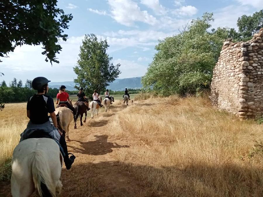 sejour Hautes-Alpes Provence photo 5