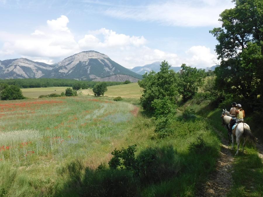 Balade  cheval Hautes-Alpes Pays du Buch