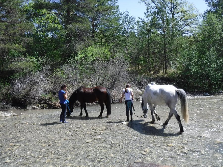 Balade  cheval Hautes-Alpes Pays du Buch photo 6