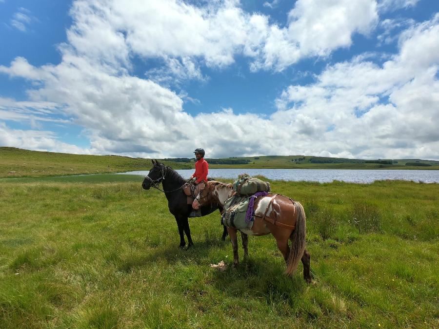 Voyage  cheval Lozre PNR de l'Aubrac