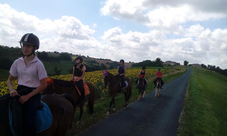 Randonne questre   photo 4
