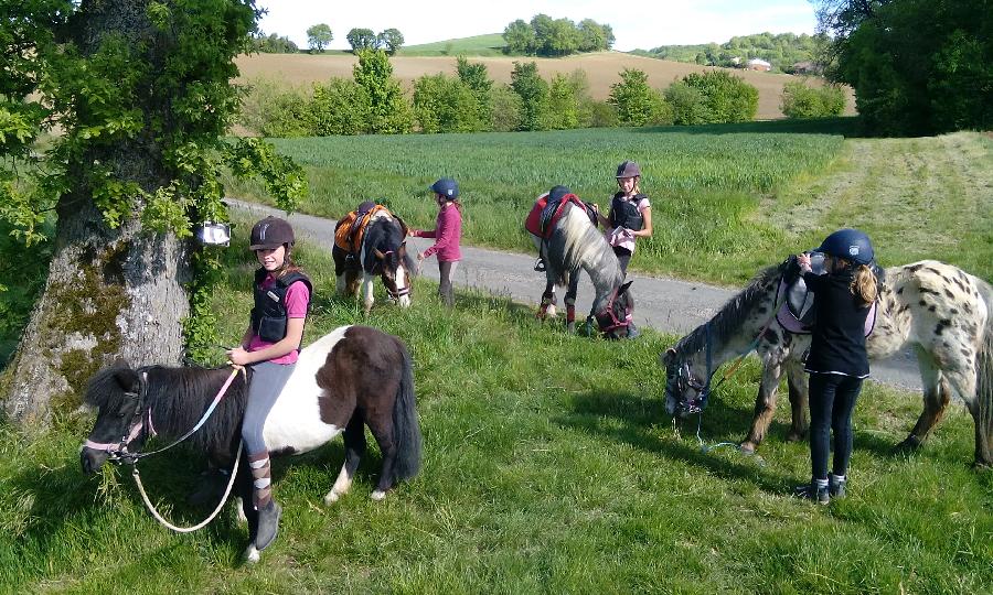 sejour Sjour  la ferme questre Tarn