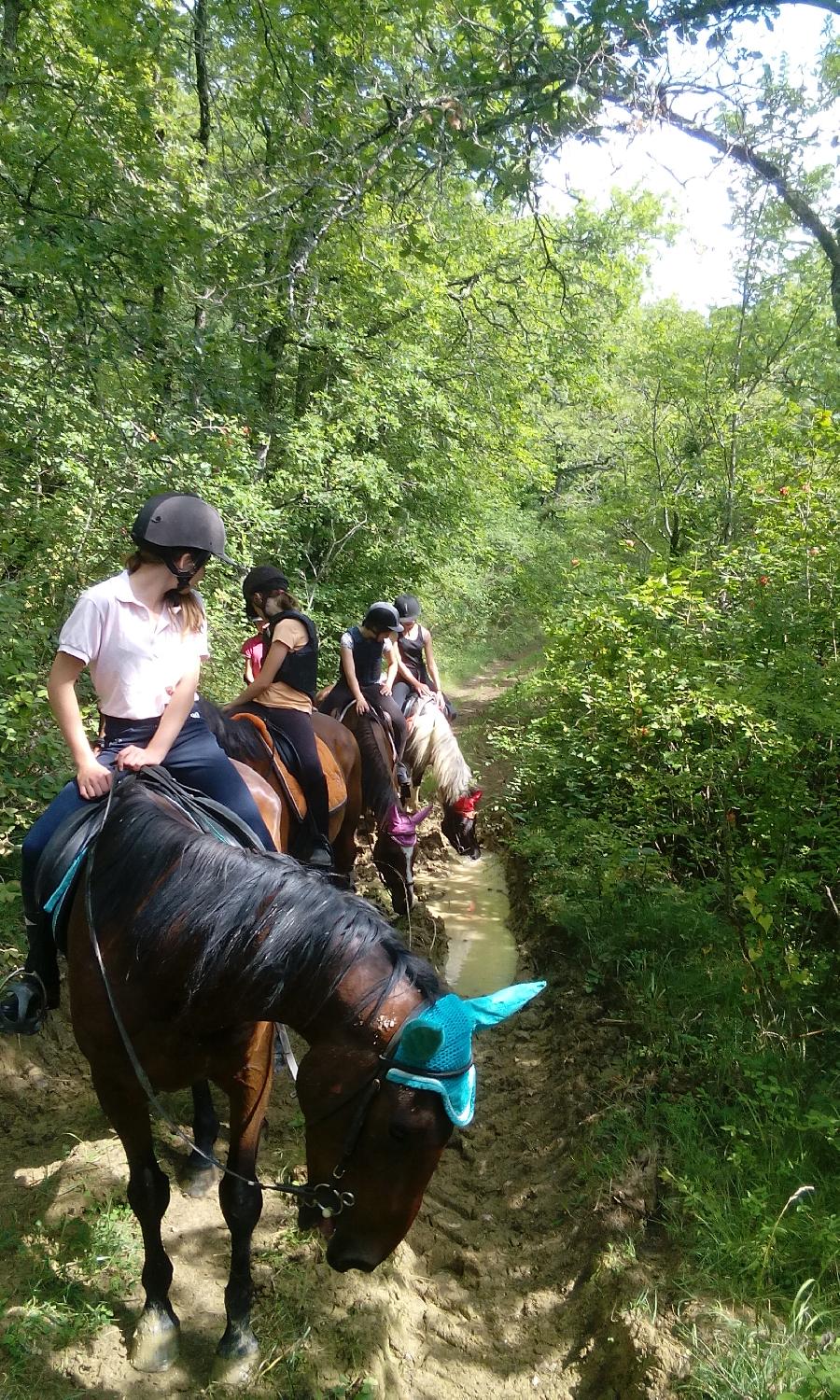 Balade  cheval Tarn  photo 2