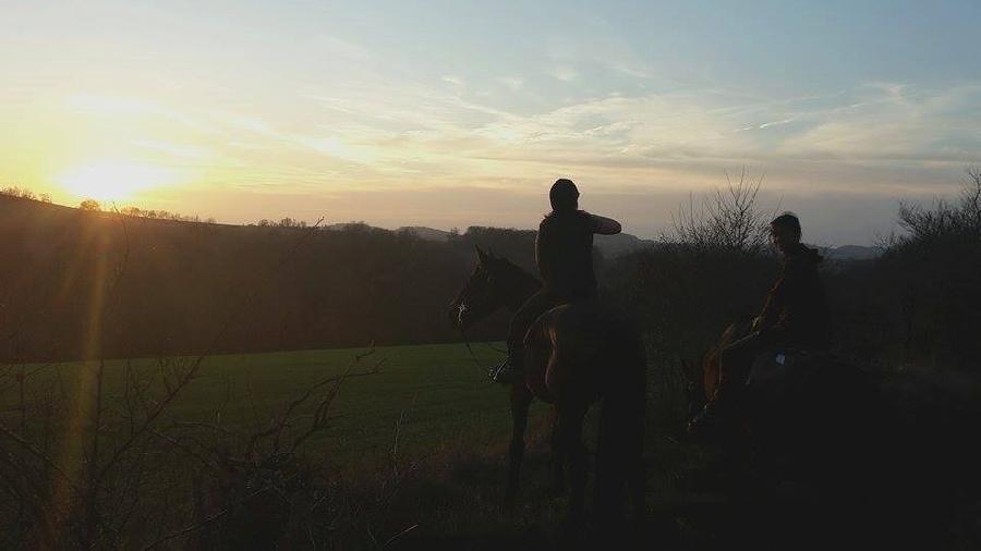 Balade  cheval Tarn  photo 4