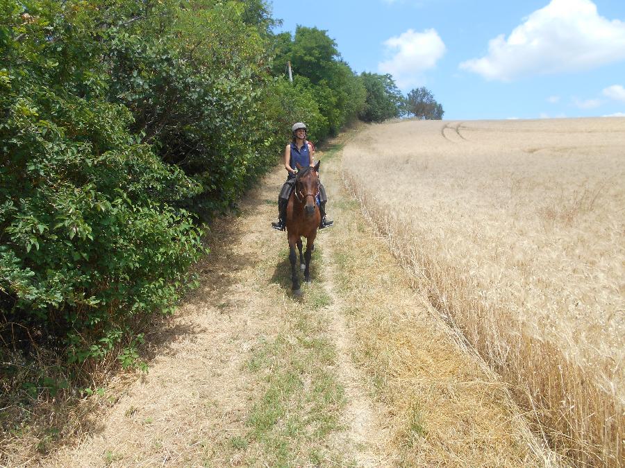 rando Initiation  la randonne Tarn