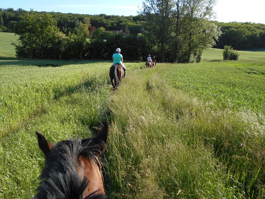 Balade  cheval Tarn  photo 2