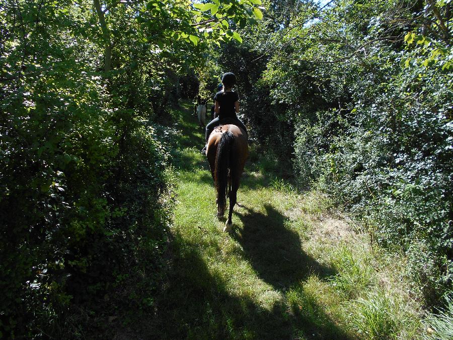 Balade  cheval Tarn  photo 3