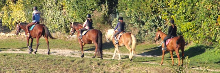 Stage �quitation   photo 2