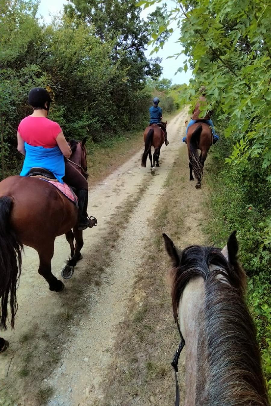 sejour Tarn Pays Cathare photo 2