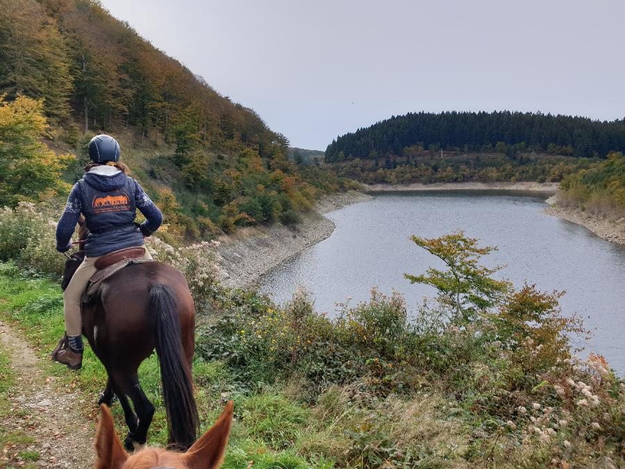 rando Randonne questre Tarn