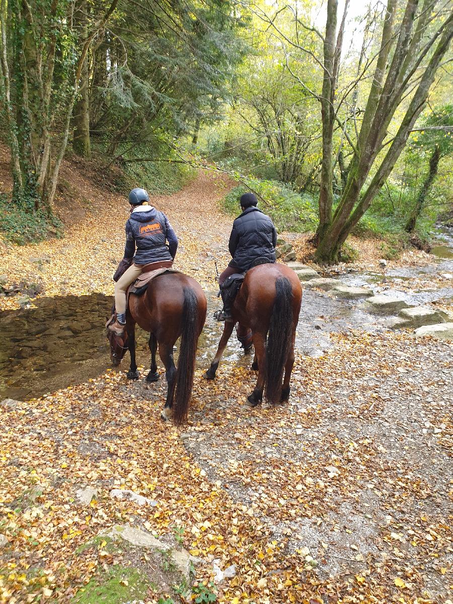 sejour Tarn Montagne Noire photo 4