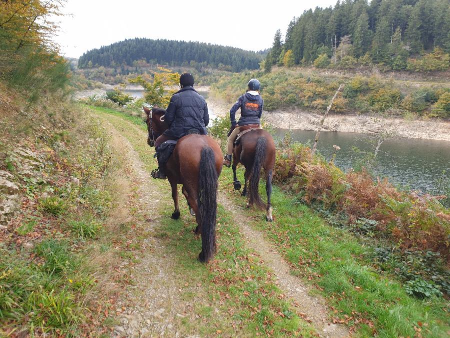 rando Randonne questre Tarn