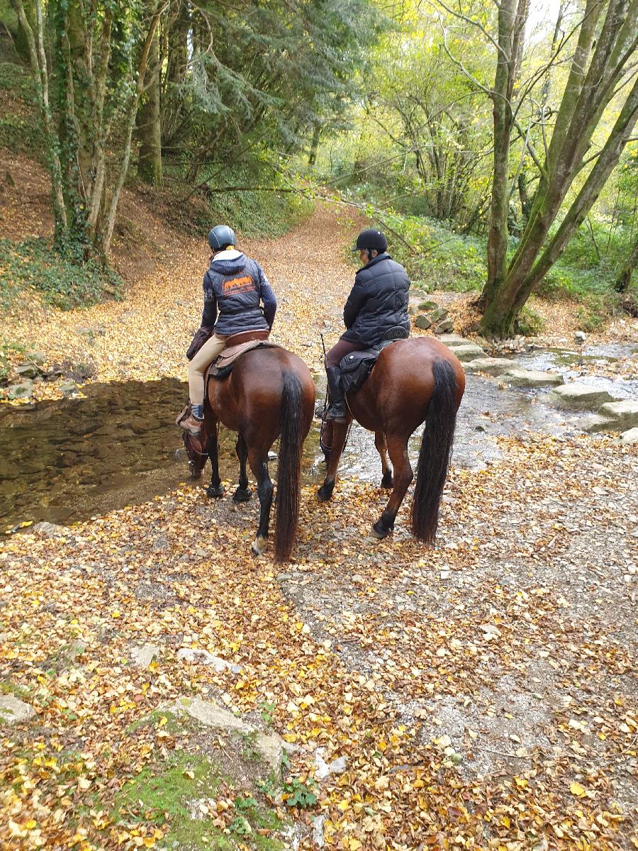 sejour Tarn Montagne Noire photo 5